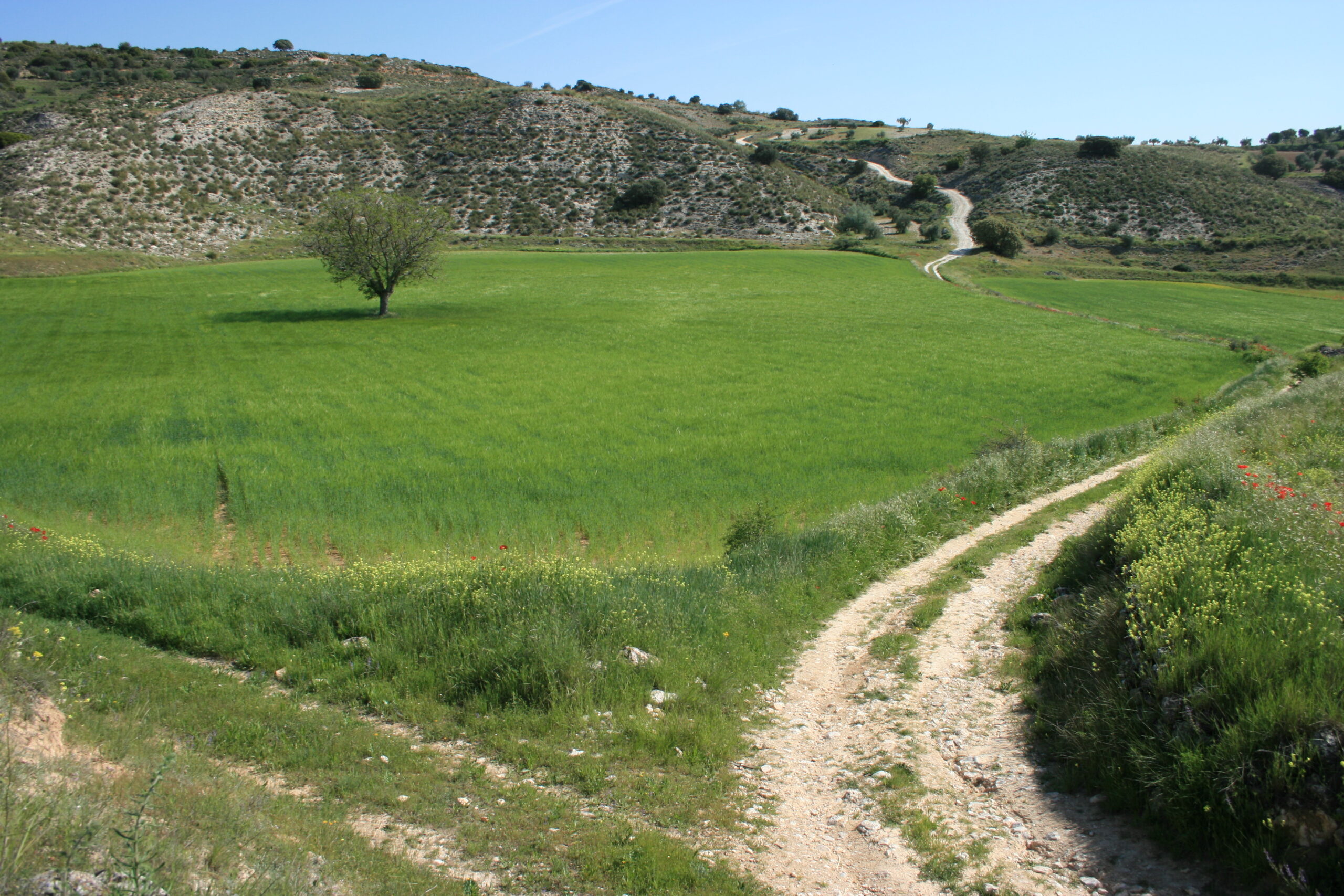 Ayuntamiento de Valdelaguna