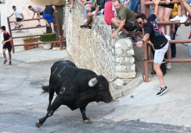 Festejos Taurinos de las fiestas