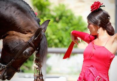 Espectáculo Ecuestre – Flamenco y Cante