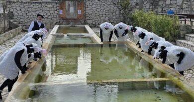 Imágenes de la celebración del Carnaval