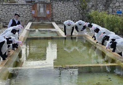 Imágenes de la celebración del Carnaval