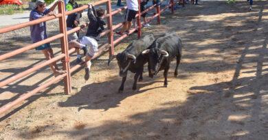 Nuevo encierro con motivo de las fiestas de Santo Toribio