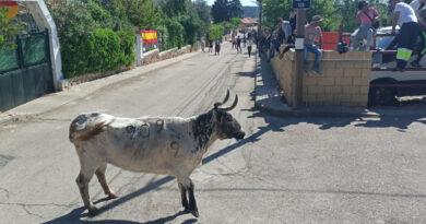 Imágenes fiestas en Honor de Santo Toribio 2026