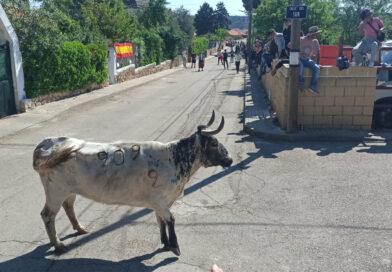 Imágenes fiestas en Honor de Santo Toribio 2026