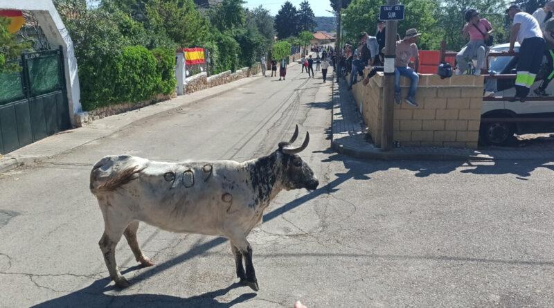 Imágenes fiestas en Honor de Santo Toribio 2026